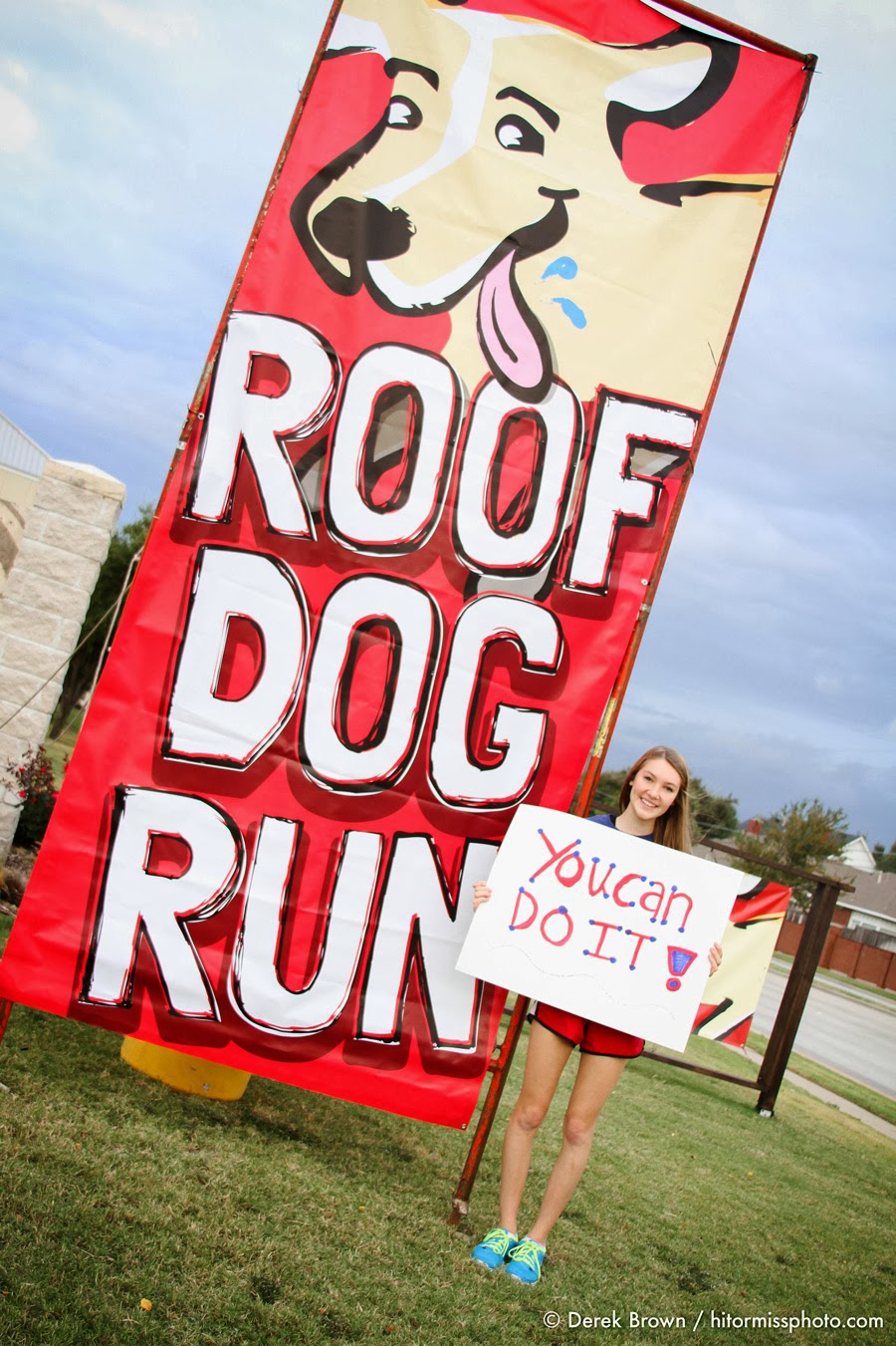 Roof Dog Run
